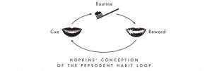 چرخه عادت هاپکینز